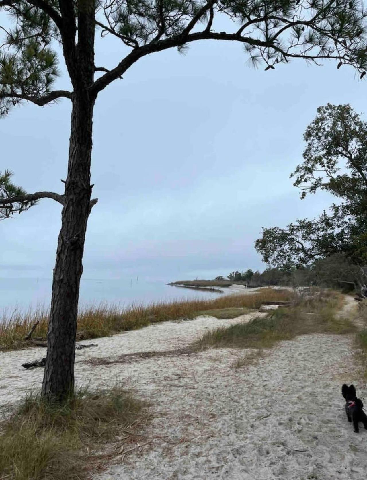 Willa Sunskipper Iota Carolina Beach Zewnętrze zdjęcie